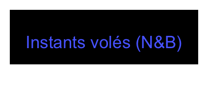 Instants volés (N&B)