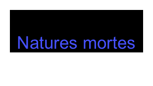 Natures mortes